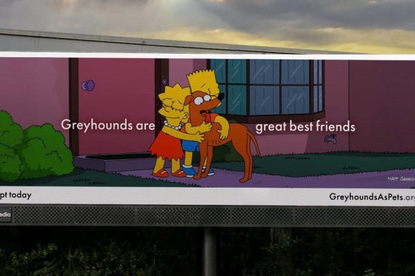 Santa’s Little Helper Fronts New OOH Campaign to Rehome New Zealand Greyhounds