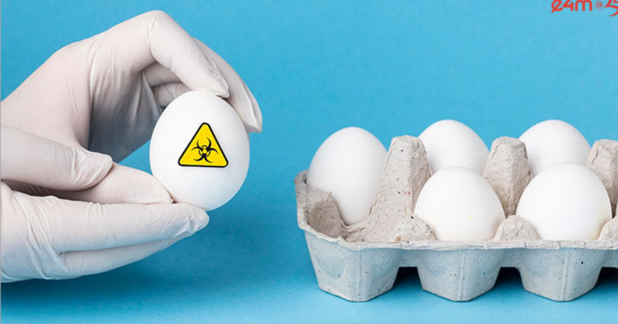 How Health Influencers Can Make or Break Trust for D2C Food Brands